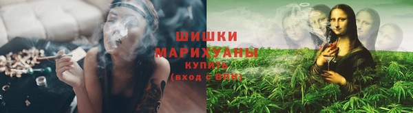 амф Великий Новгород