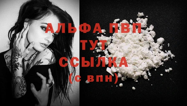 PSILOCYBIN Заволжск