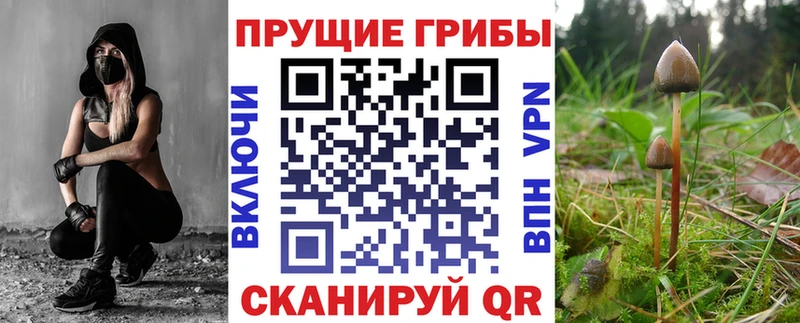 Псилоцибиновые грибы Magic Shrooms  Нижний Новгород 