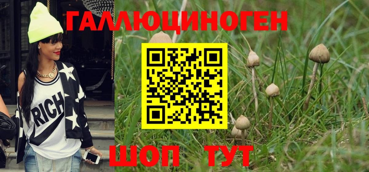 Галлюциногенные грибы Psilocybe  Вход с VPN  Россия  Псилоцибиновые грибы Psilocybe 