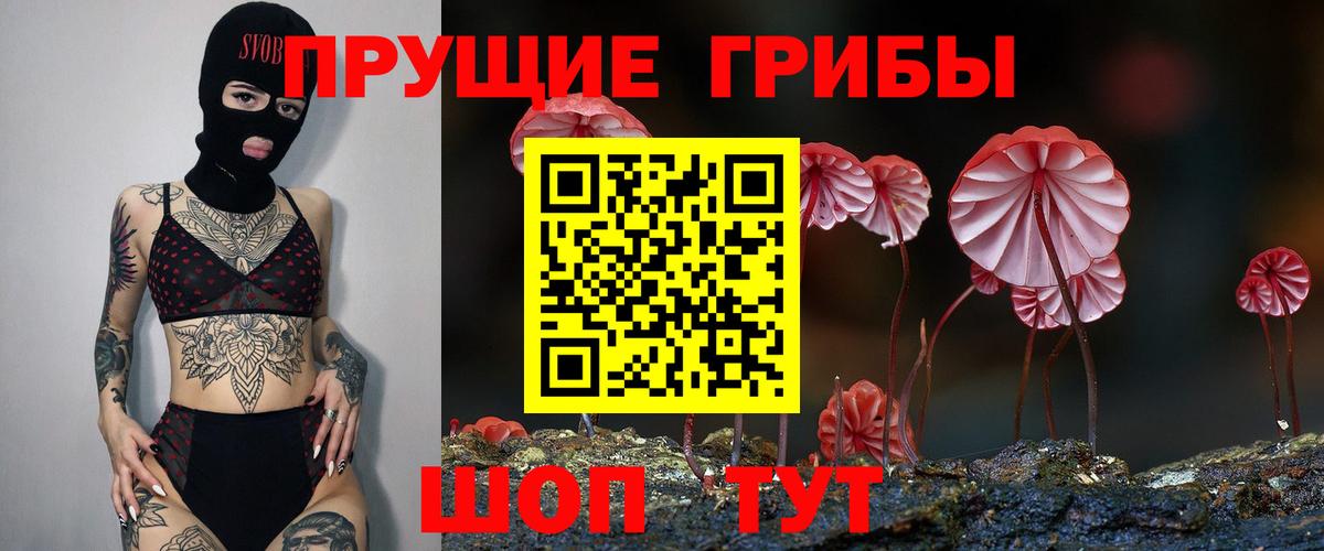 наркотики  Галлюциногенные грибы Psilocybine cubensis  Вход с VPN  Россия 
