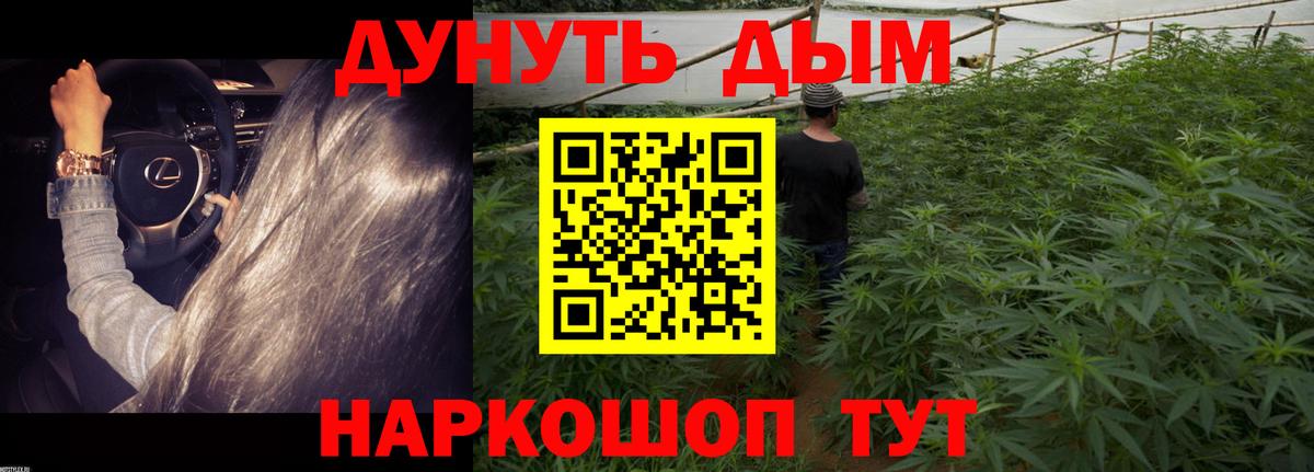 Канабис SATIVA & INDICA  Конопля SATIVA & INDICA  Вход с VPN  Канабис конопля  Россия 